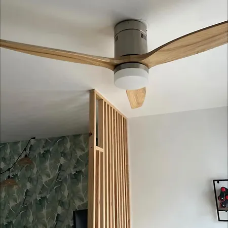 דירה T1 Cosy Equipe, Proche Airbus Aeroport קולומייר