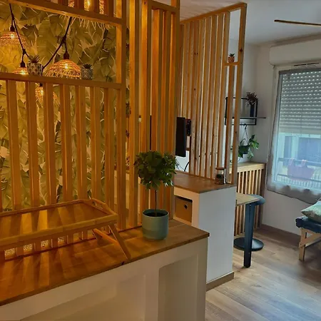 דירה T1 Cosy Equipe, Proche Airbus Aeroport