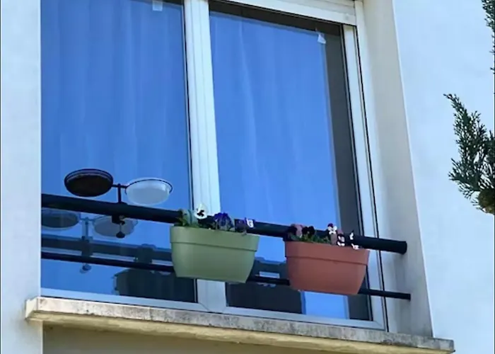 T1 Cosy Equipe, Proche Airbus Aeroport * コロミエ