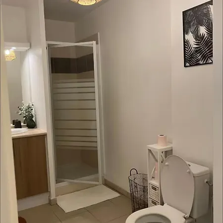 T1 Cosy Equipe, Proche Airbus Aeroport * Коломье