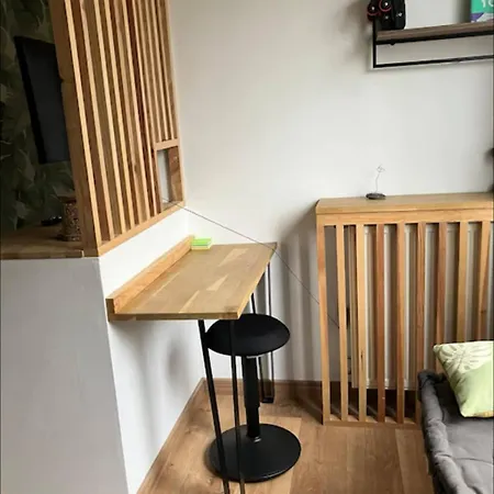 T1 Cosy Equipe, Proche Airbus Aeroport *